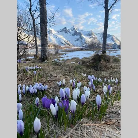 Feriehus Wilderness House Urda