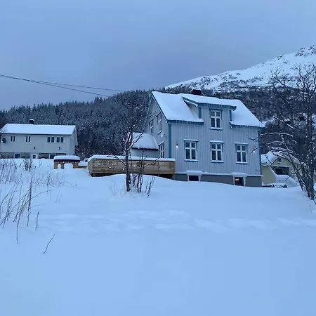 Wilderness House * Urda
